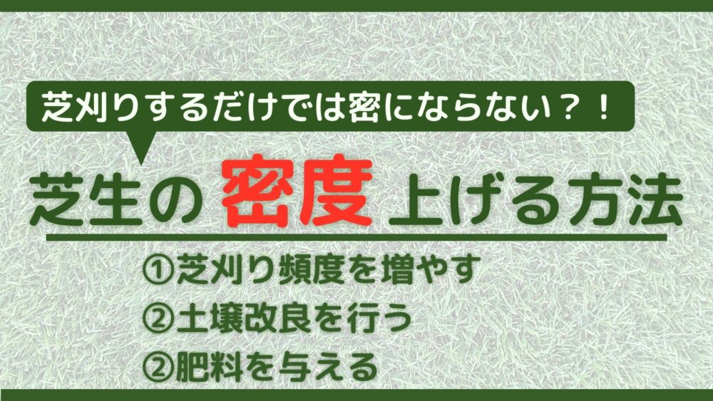 芝刈りだけでは密にはならない 芝生の密度を上げる3つのポイント シバフノオト