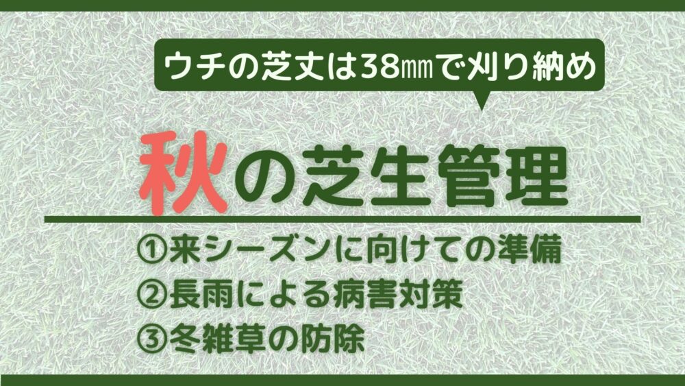 秋の芝生管理 来春の芝生は秋で決まる 越冬するための準備と萌芽を促すための管理方法解説 シバフノオト